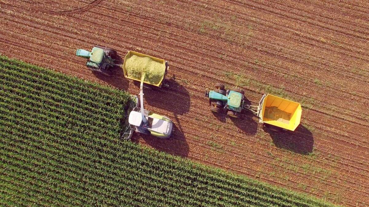 Agroexportaciones en peligro, pese al TLCAN