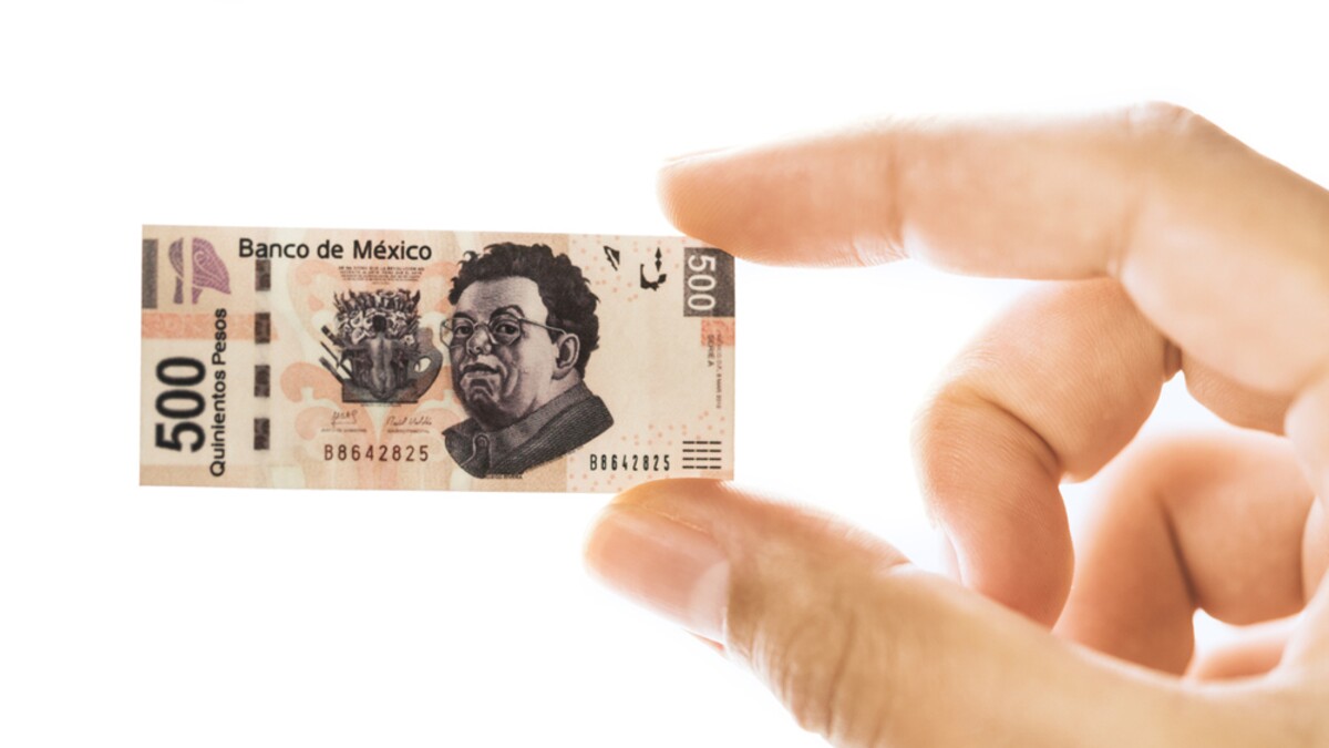 PTU a pagar por personas físicas con actividades empresariales y profesionales