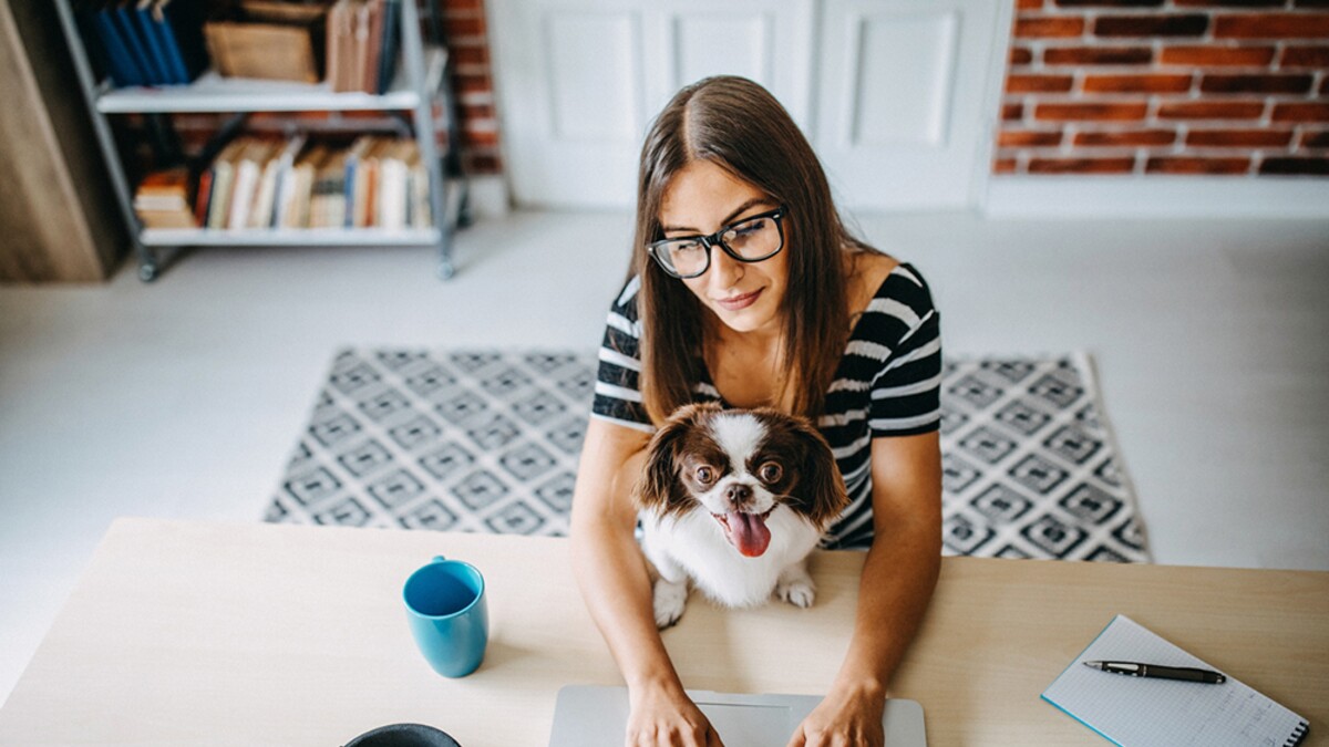 Factores físicos por cuidar en el teletrabajo