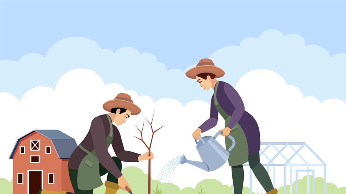 Adiós a algunas facilidades para personas físicas del sector primario